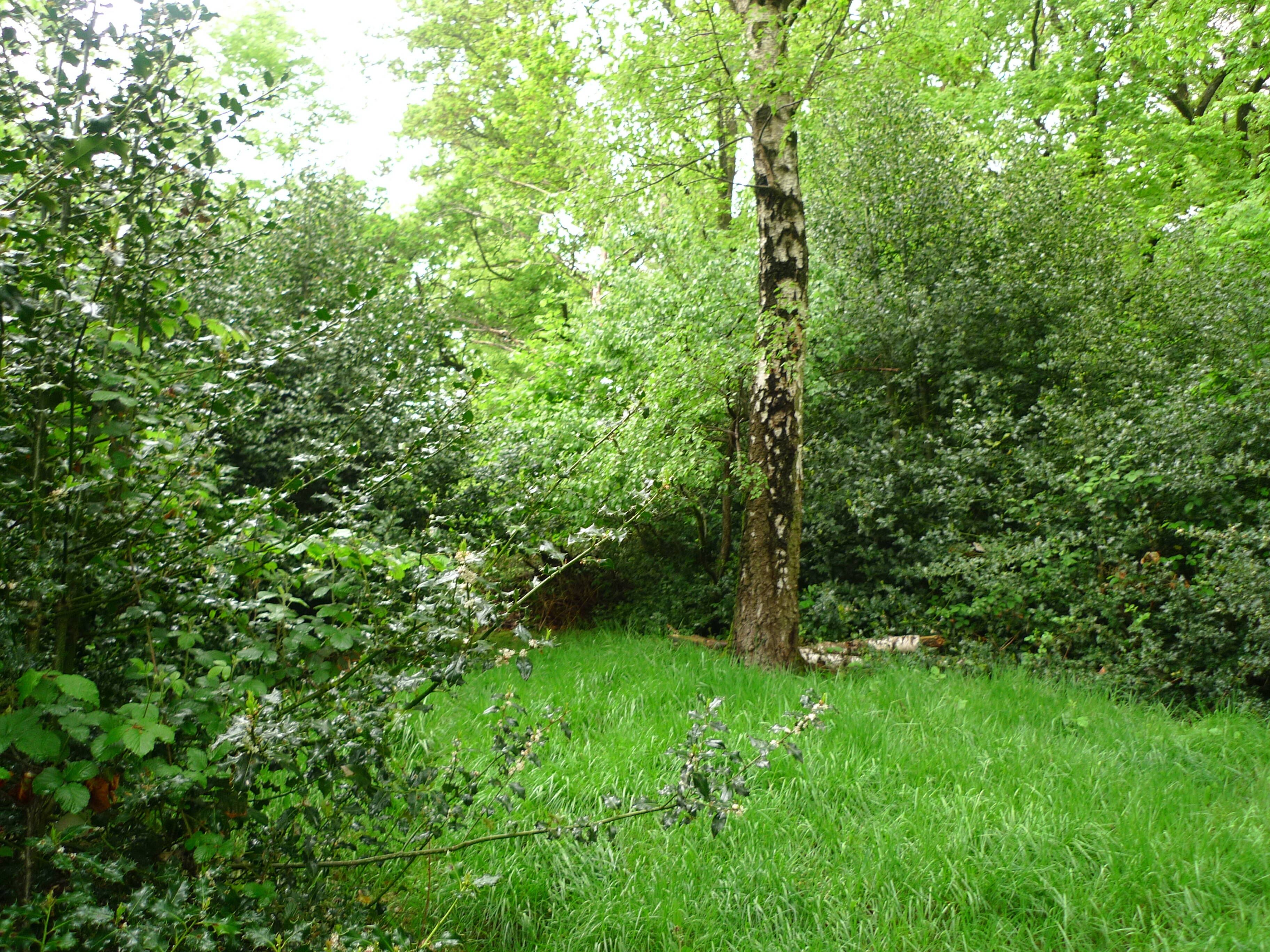Bild 6