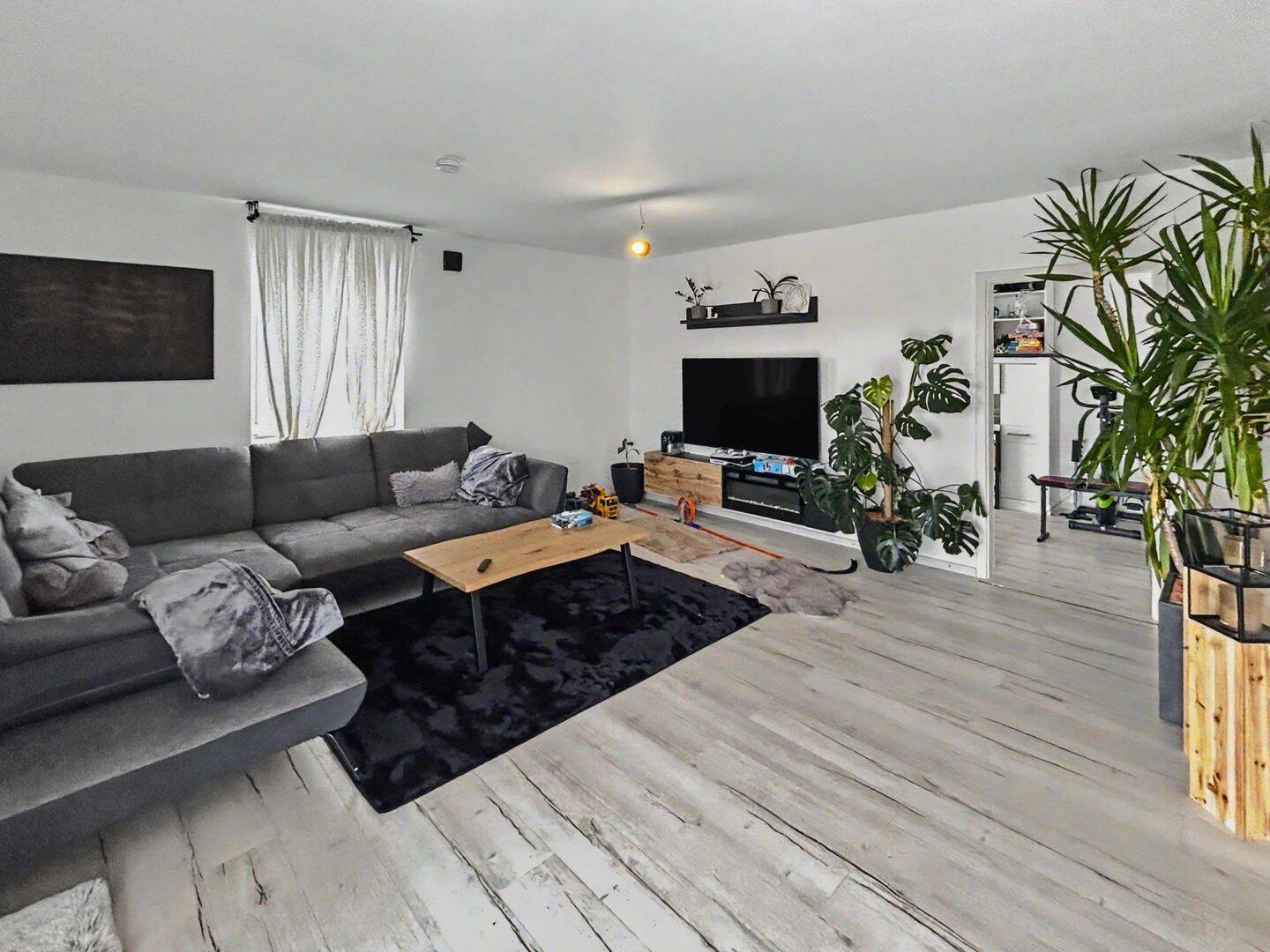 Bild 5