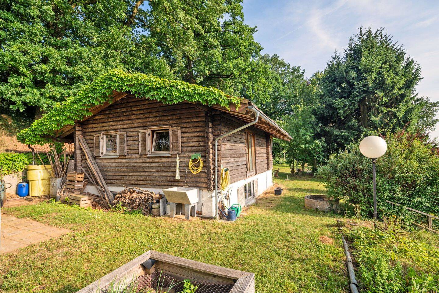 Bild 5
