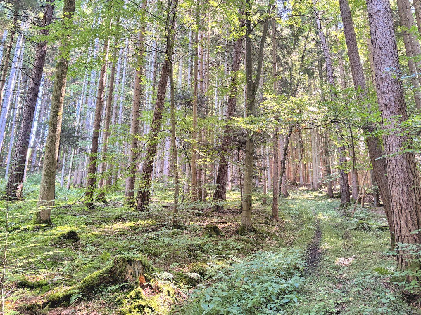 Bild 6