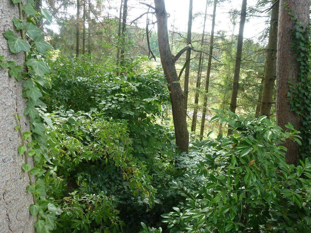 Bild 9