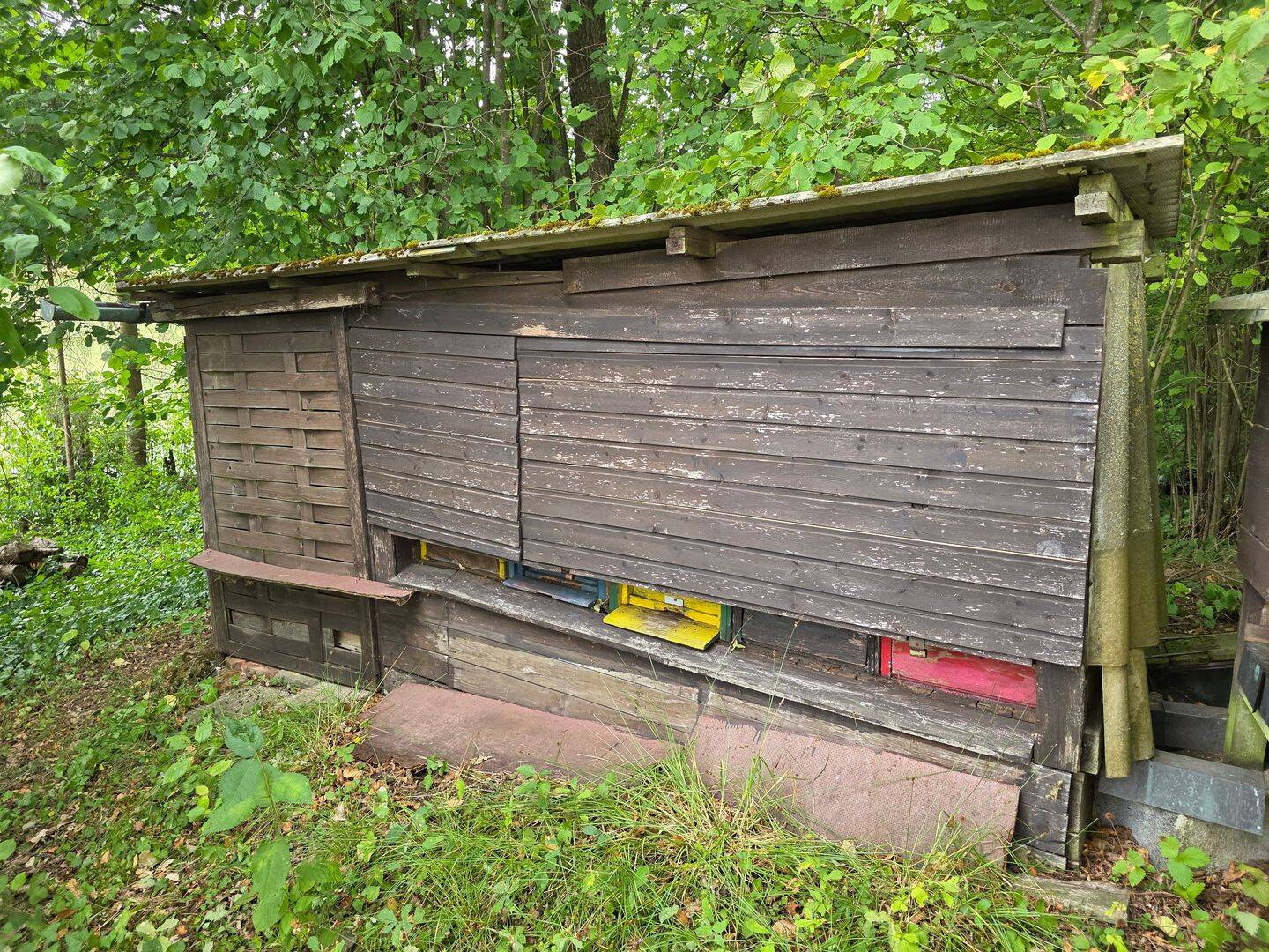Bild 5