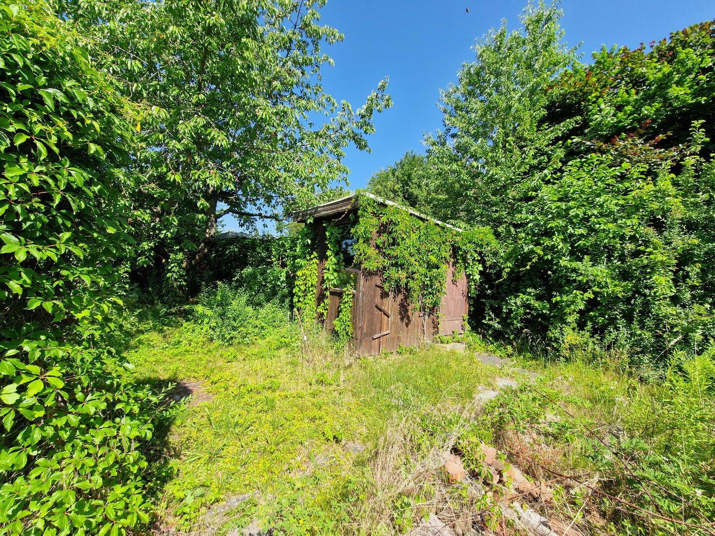 Bild 8