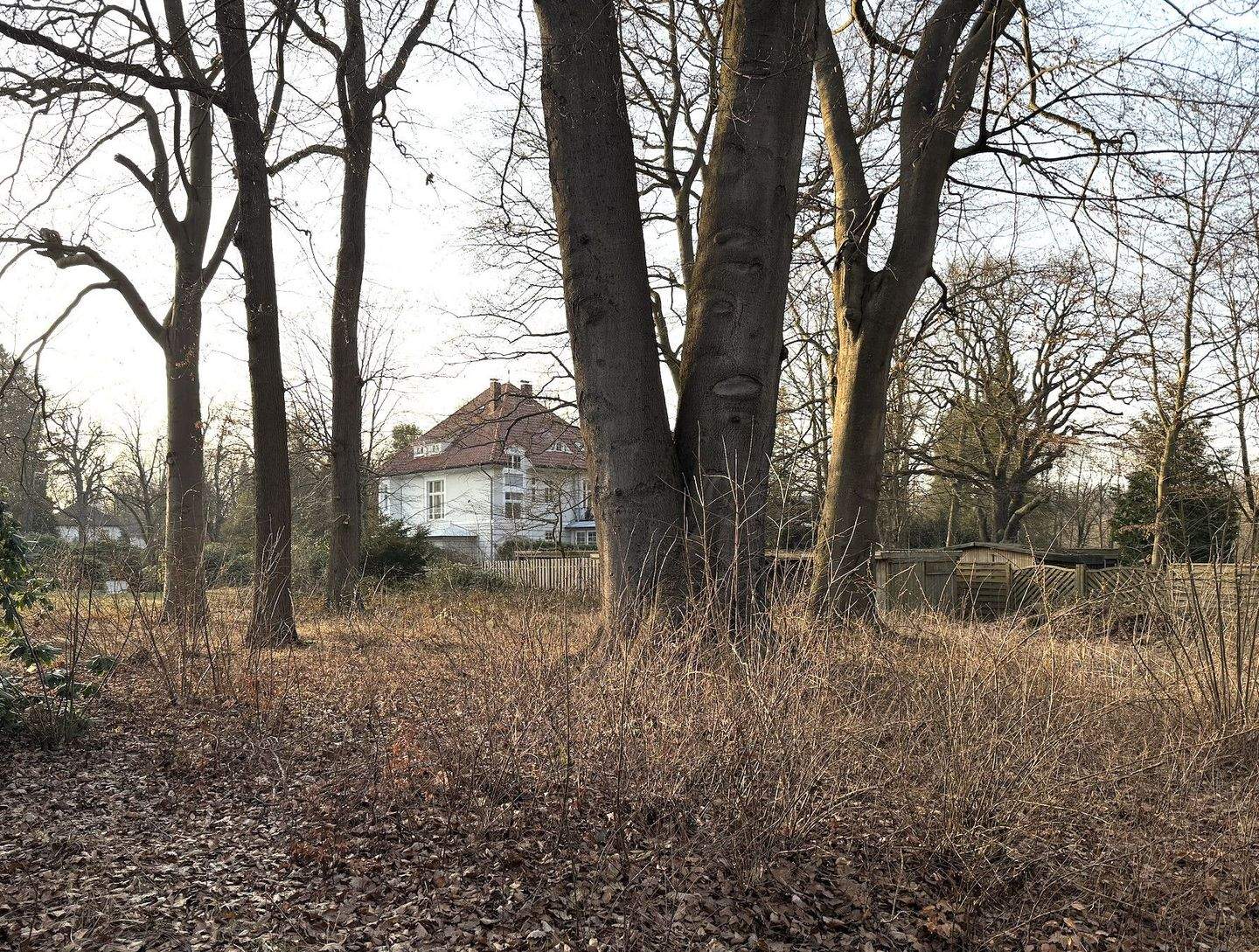 Bild 8