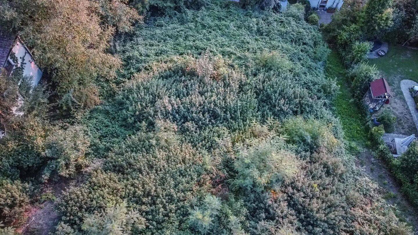 Ruhig gelegenes Baugrundstück am Rand von Tettnang, 88069 Tettnang