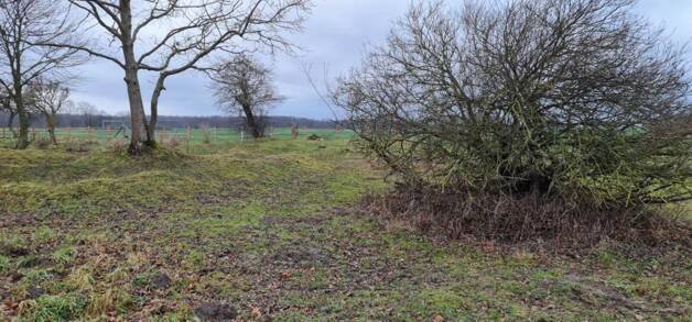 Ca 51400m2 Acker und Weideland nahe Rostock, 18184 Thulendorf