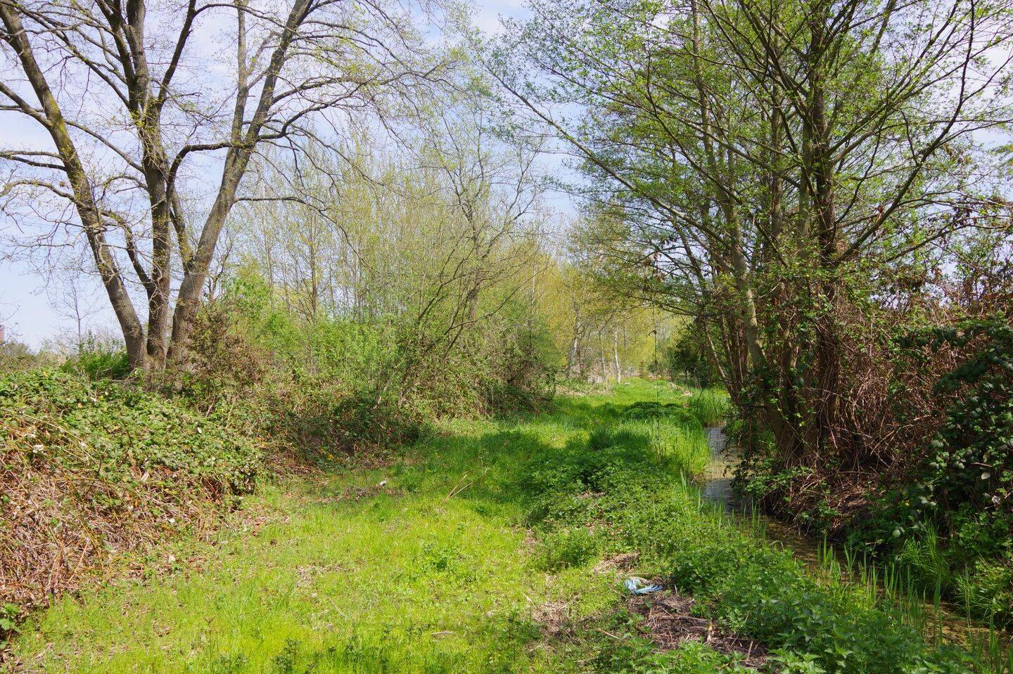 Grundstück 4580m2 –, 39307 Genthin