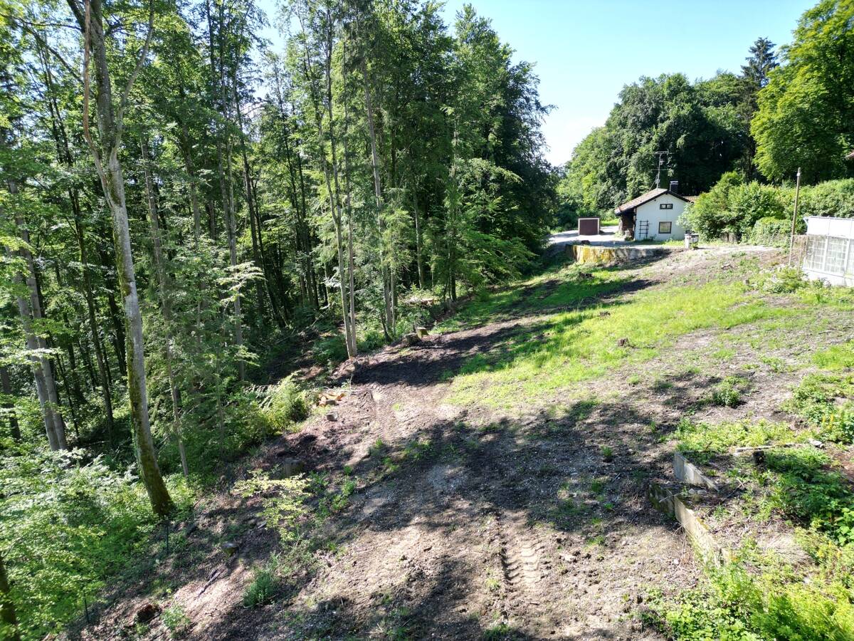 Naturromantik – Ruhiger Baugrund für Ihr Familiendomizil am Isarhochufer, 82057 Icking