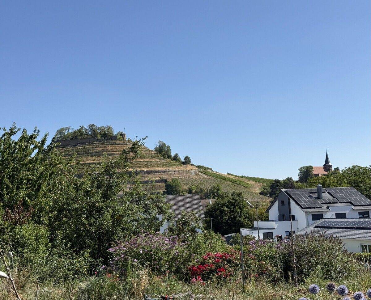 BAUPLATZ MIT UNVERBAUBAREM BLICK, 74189 Weinsberg