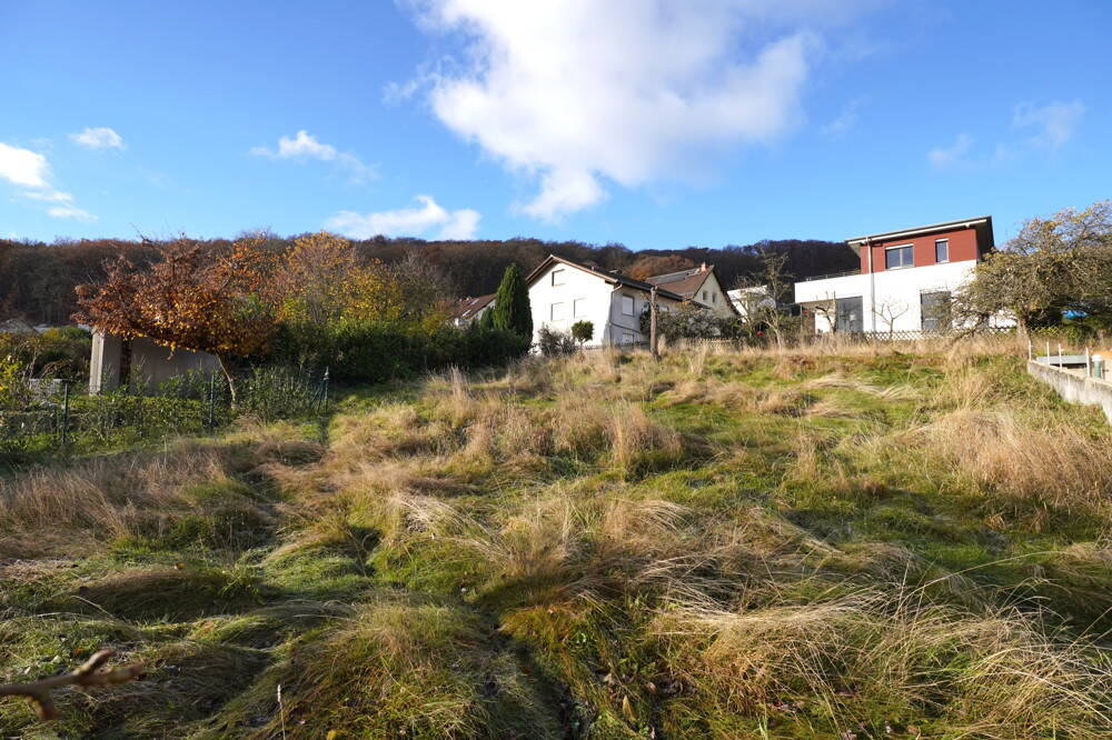 Seltene Gelegenheit am grünen Rand von Kelkheim! Bauplatz mit Skyline-Blick und vielen Möglichkeiten, 65779 Kelkheim (Taunus)