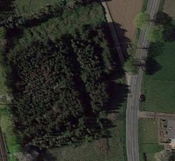 Ackerland / Forst in Rees-Haldern, 46459 Rees