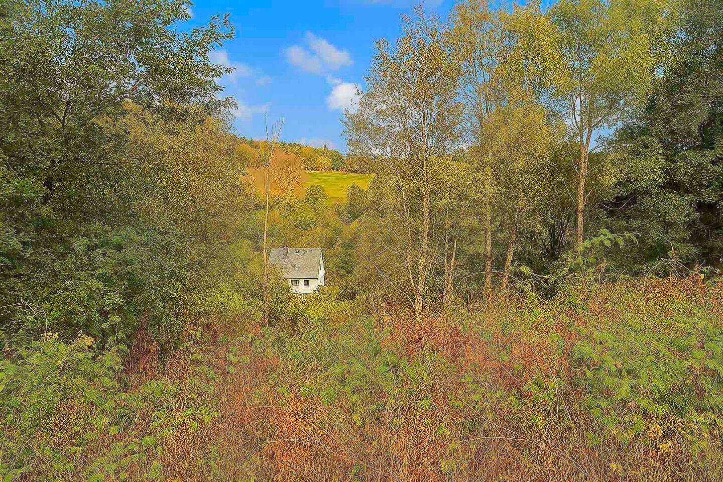 Attraktives Hanggrundstück mit Panoramablick in Winterberg-Silbach, 59955 Winterberg