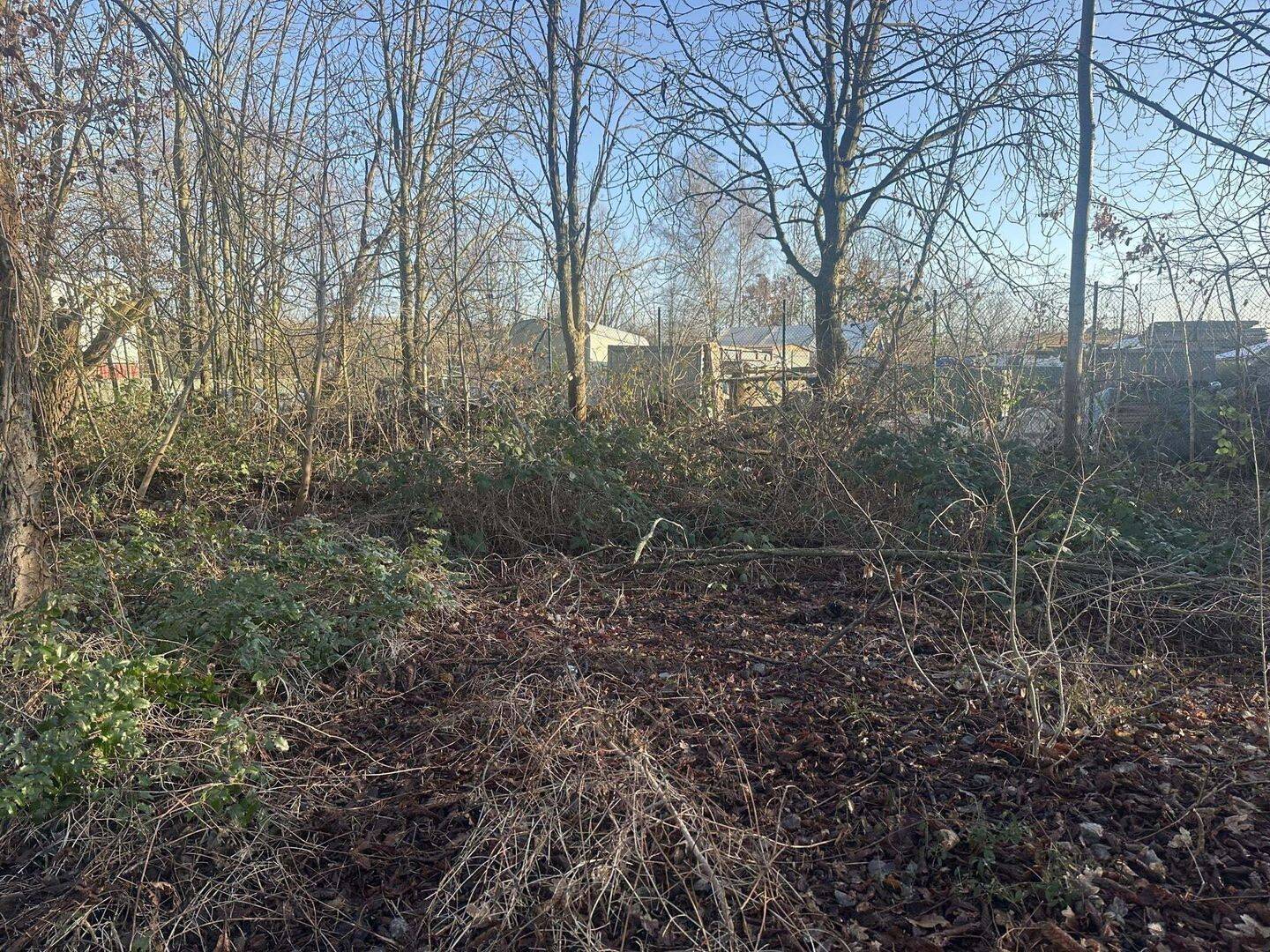 Grundstück in verkehrsgünstiger Lage und Flughafennähe, 12526 Berlin (Treptow-Köpenick Bohnsdorf Kleingartenanlage Grünbergallee)