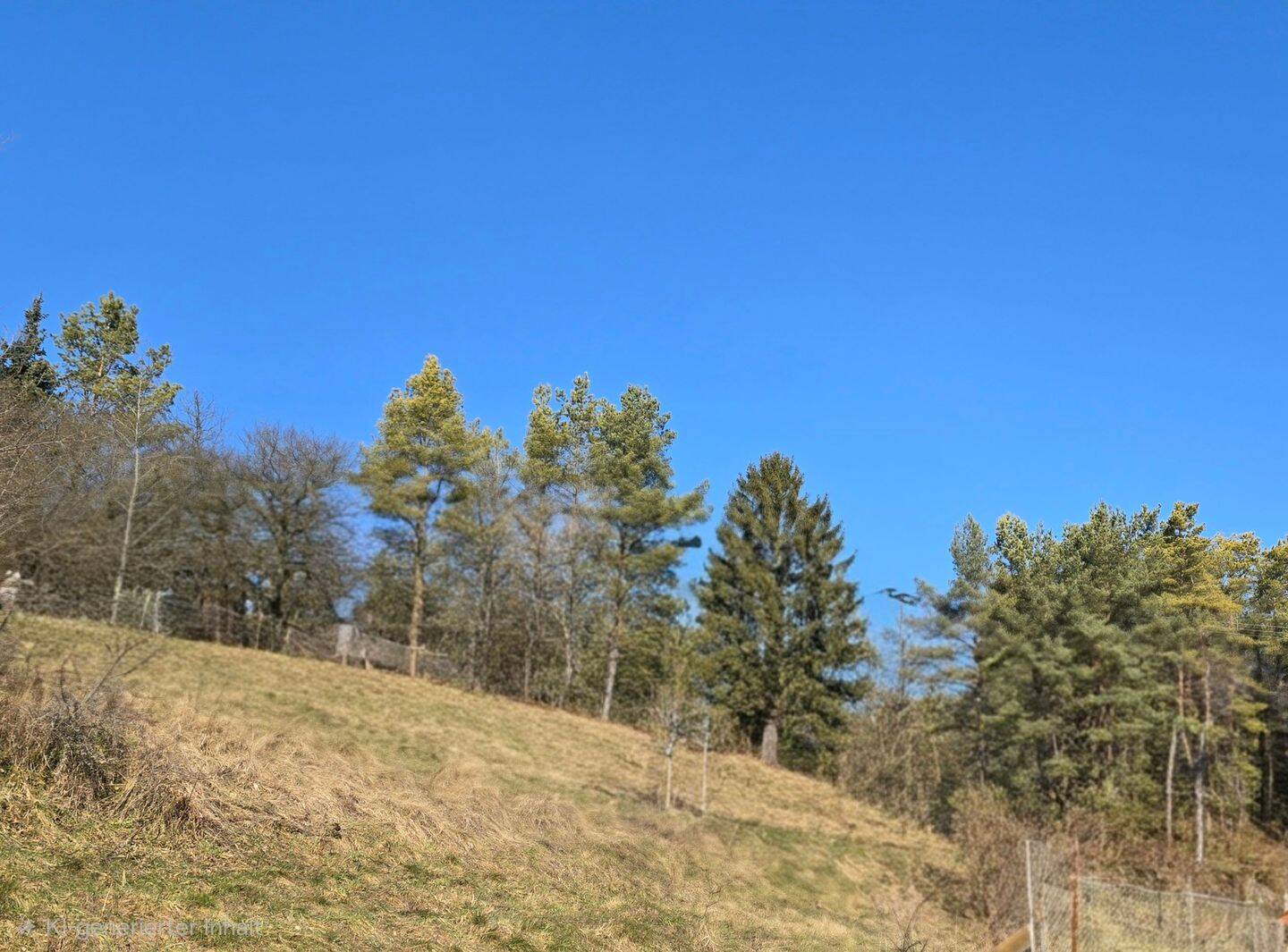 Sonne den ganzen Tag: Baugrundstück in Südost-Hanglage – unverbaubar, 91278 Pottenstein