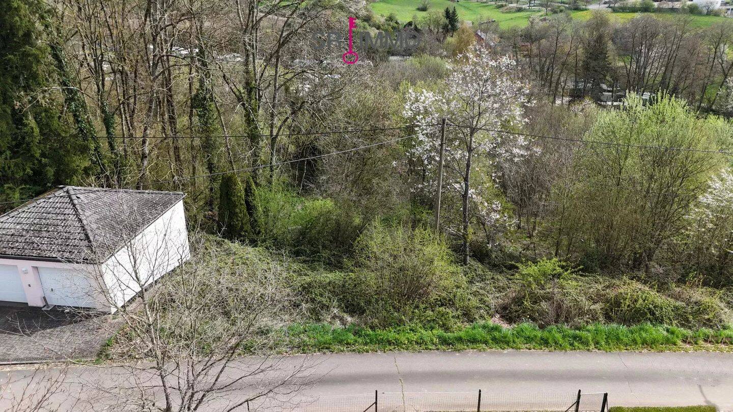Attraktives Grundstück in sonniger Hanglage mit freier Aussicht und hoher Privatsphäre, 54675 Ammeldingen an der Our