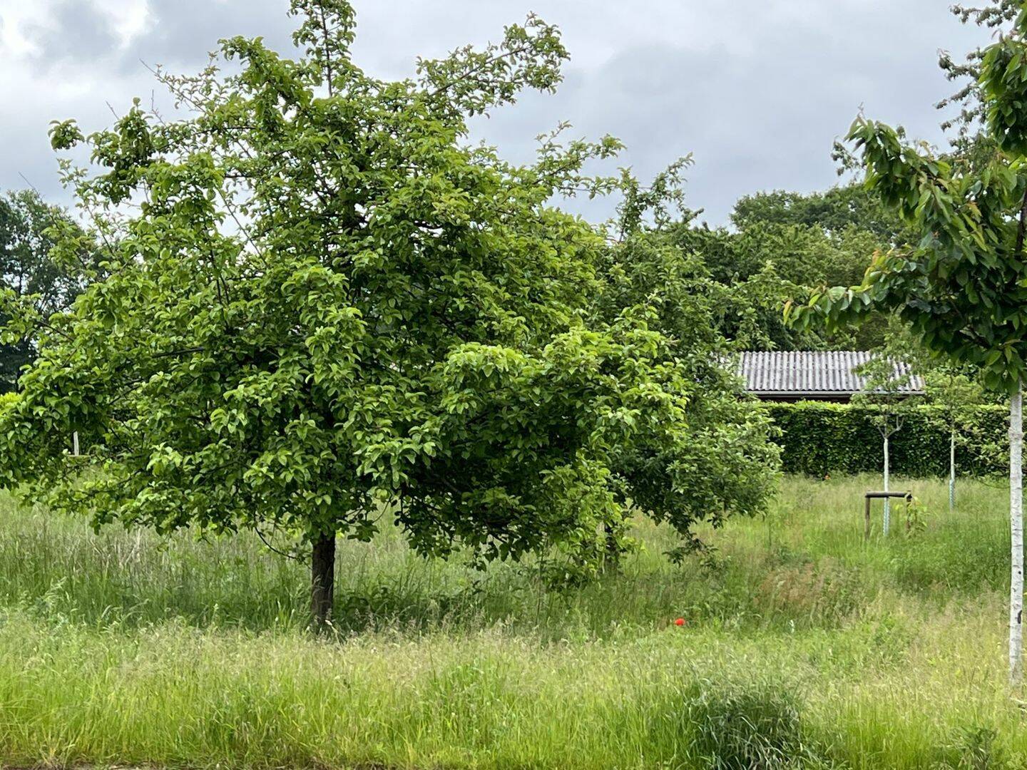 Ihr Grundstück – ein Zuhause für eine neue Familie ??, 48607 Ochtrup