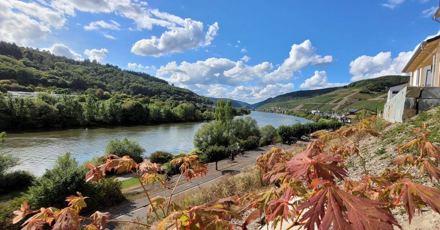 Vorbereitetes Bauprojekt: einzigartiger Panoramablick- Bauplatz mit Bodenplatten, Keller, Anschlüsse, 56856 Zell (Mosel)