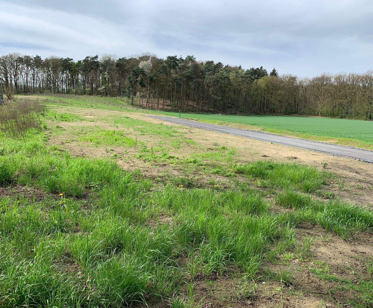 Optimales Baugrundstück in äußerst beliebter stadt- und naturbezogener Lage von Haltern am See / 289 qm Grundstücksgröße / EP – Grundstück, 45721 Haltern am See