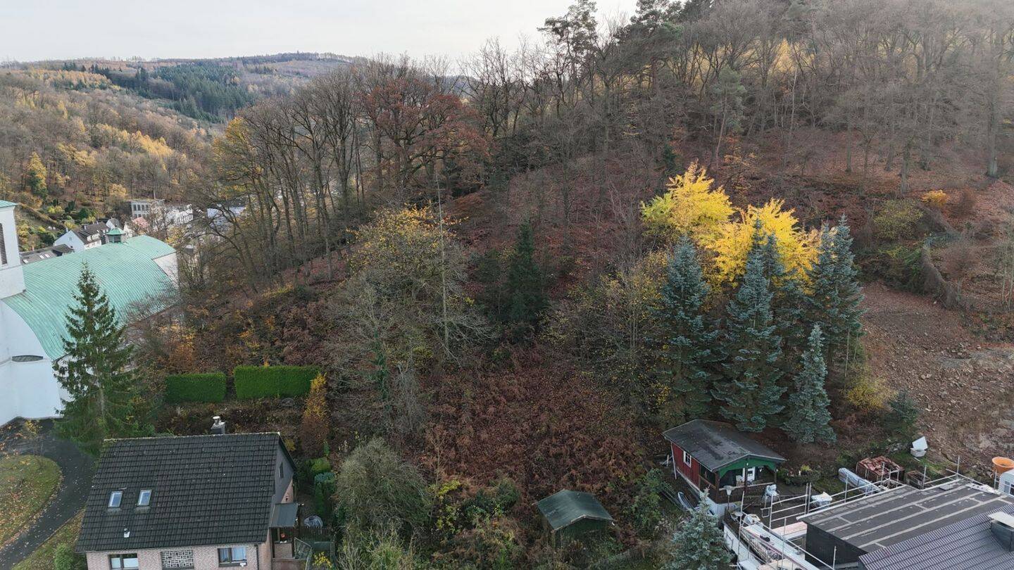 Wohnen im Einklang mit der Natur: Baugrundstück inklusive eigenem Forstbesitz, 58675 Hemer