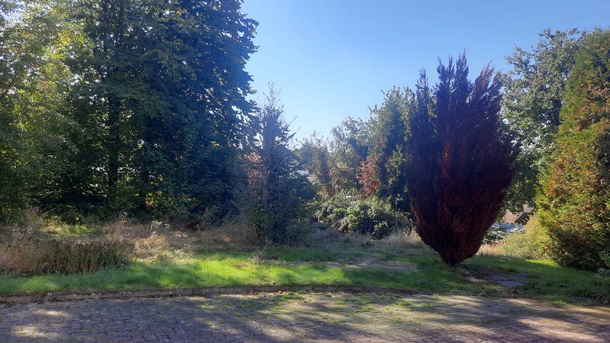 Großes und schönes Baugrundstück oberhalb des Stadtzentrums von Waldbröl, 51545 Waldbröl