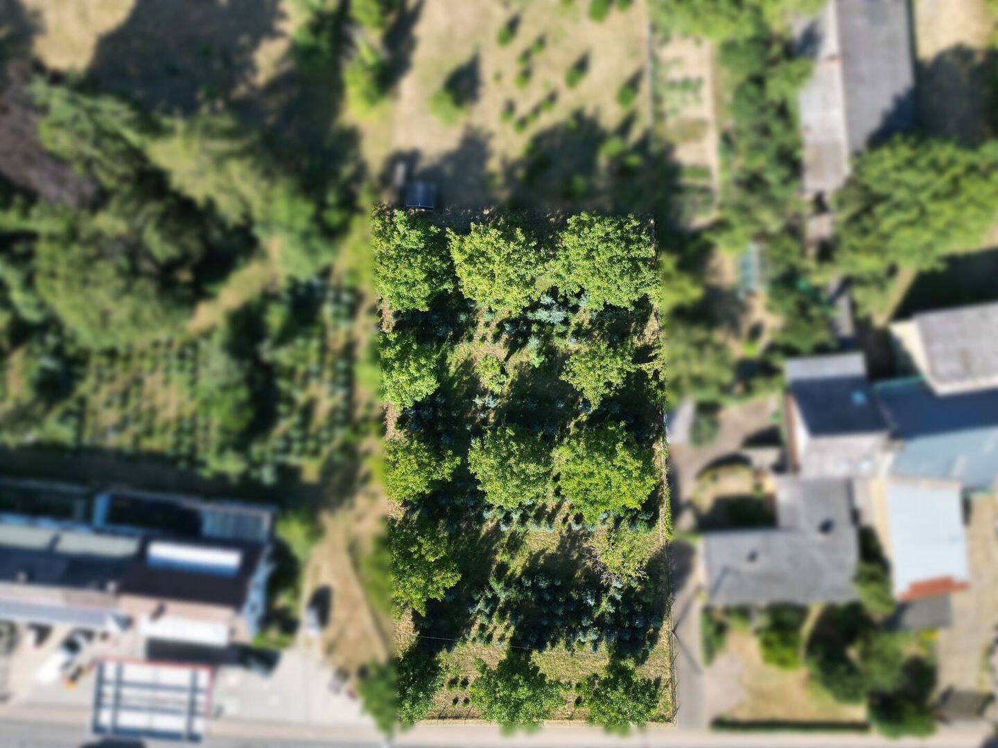 Großzügiges Baugrundstück in Naunheim, 56753 Naunheim