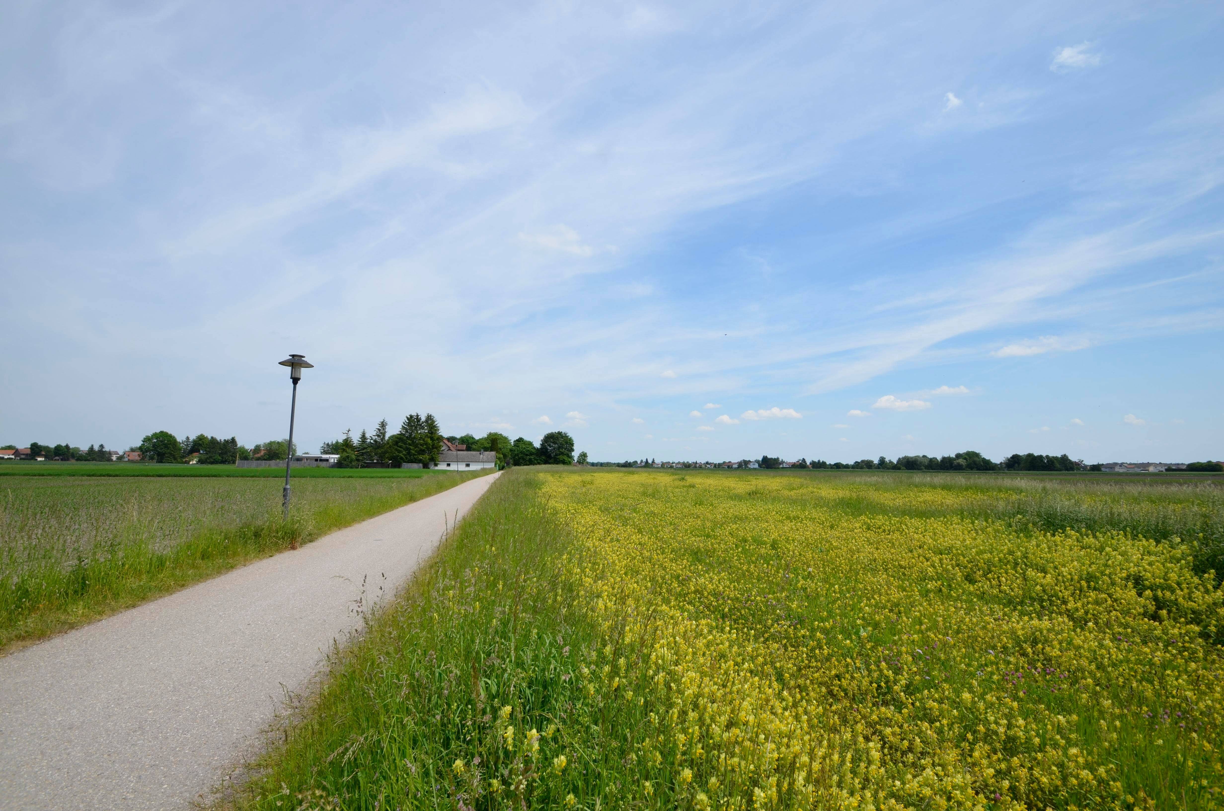 Bauerwartungsland, 85399 Hallbergmoos