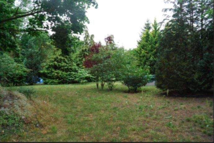 1.425 m² Grundstück nahe Naturschutzgebiet in Zossen, 15806 Zossen