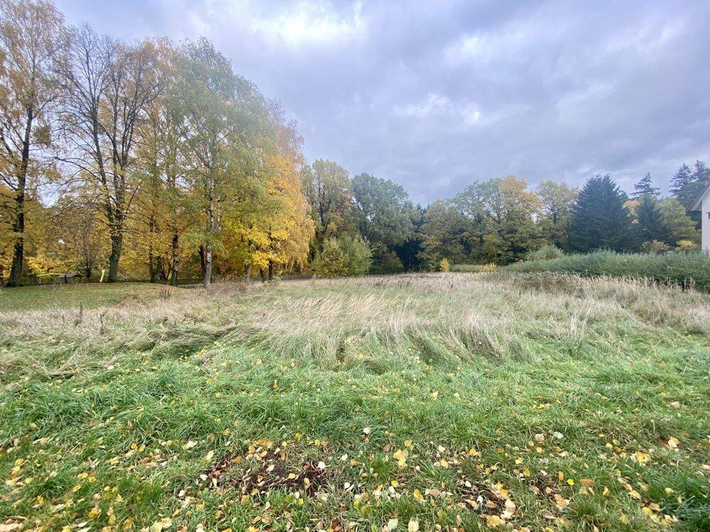 Schönes Baugrundstück in Weidach, 96479 Weitramsdorf