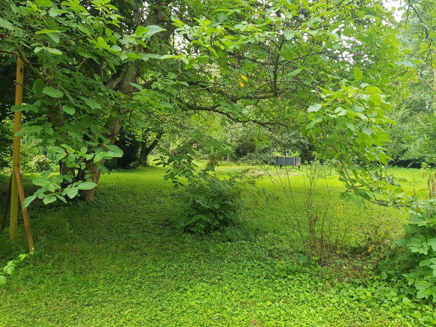 Landwirtschaftliches Grundstück (Ackerland) in Erfurt, 99096 Erfurt (Altstadt Brühlervorstadt Daberstedt Löbervorstadt Melchendorf)