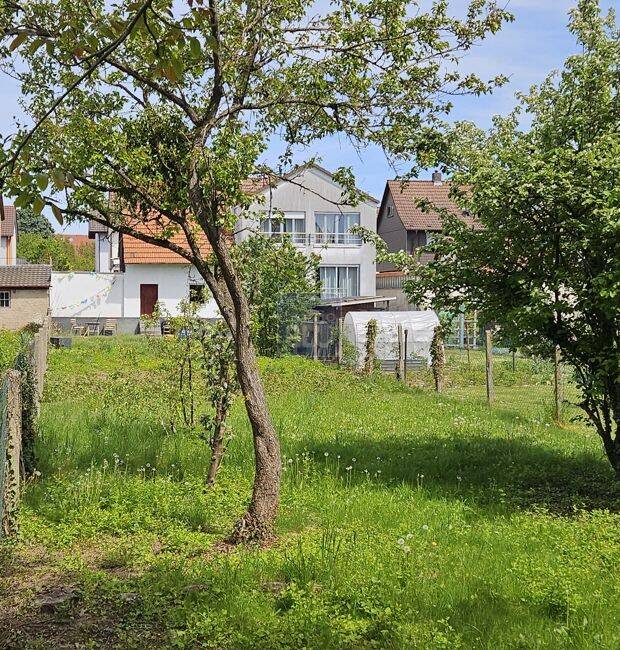 Bauplatz für DHH, zentrale, ruhige Lage, 2.te Reihe, inkl.Baugenehmigung, 76356 Weingarten (Baden)
