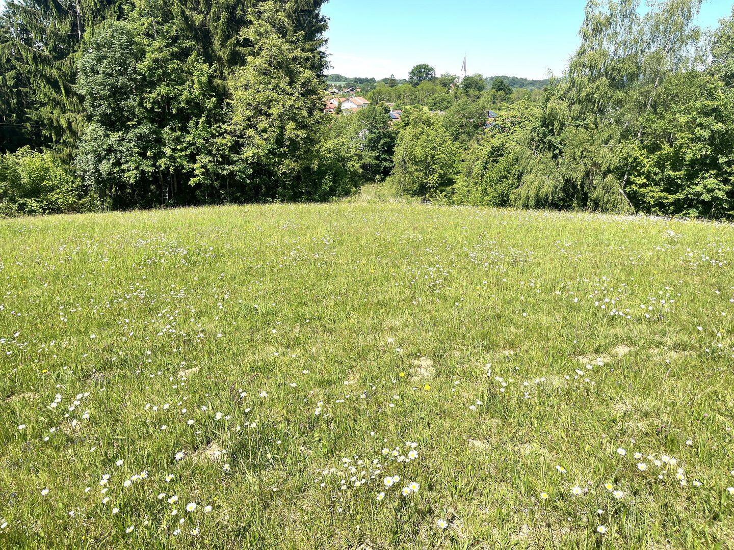 Traumlage: 1.750 m² Wohnbaufläche inmitten von 14.646 m² Wiesengrund, 94505 Bernried