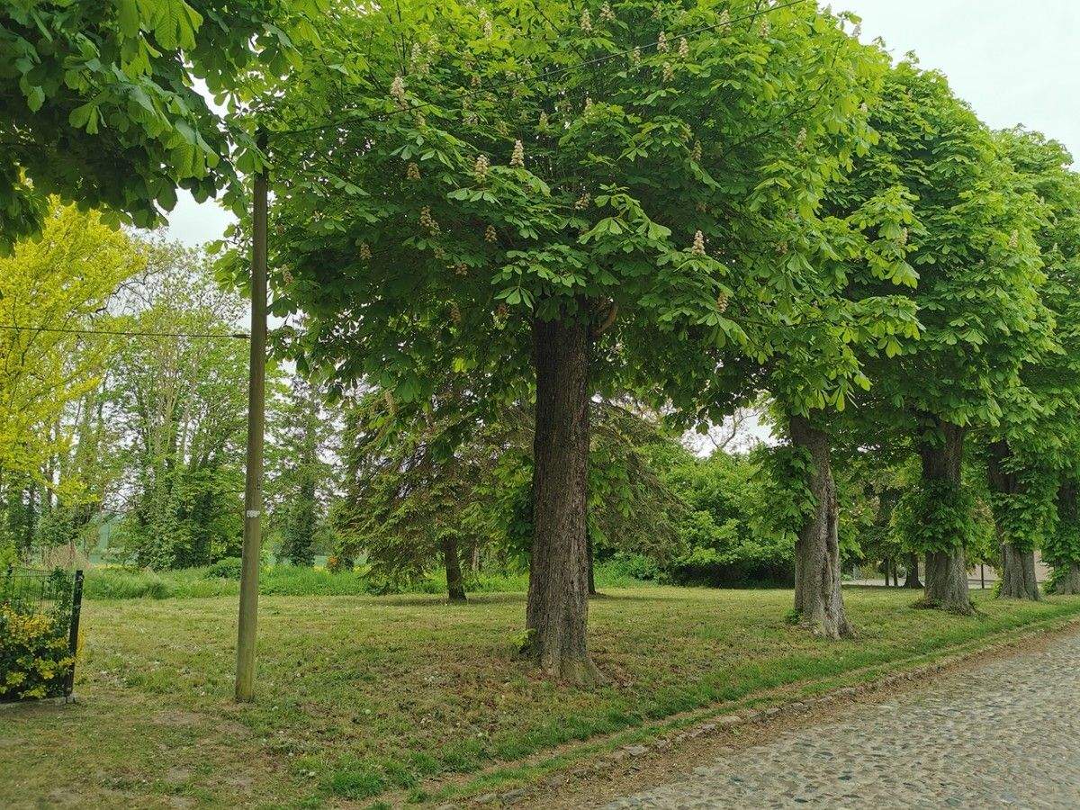 *****VERKAUFT*****Ihr Bauplatz in idyllischer Lage!, 23972 Lübow