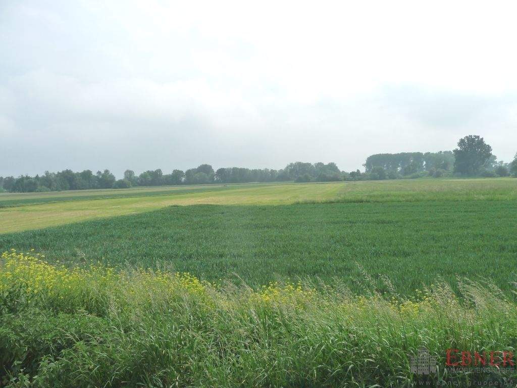 5.240 m² Grünland/Ackerland bei Deggendorf, 94569 Stephansposching
