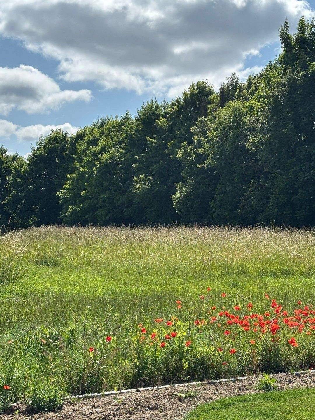 Baugrundstück in Niederwerrn – Ortsrand, 97464 Niederwerrn