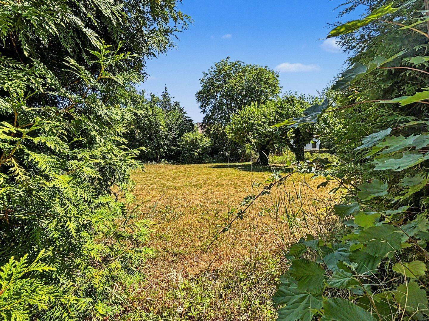 Sahnestück: Baugrund in Bestlage von Würzburg-Frauenland, 97074 Würzburg (Frauenland Sanderau)