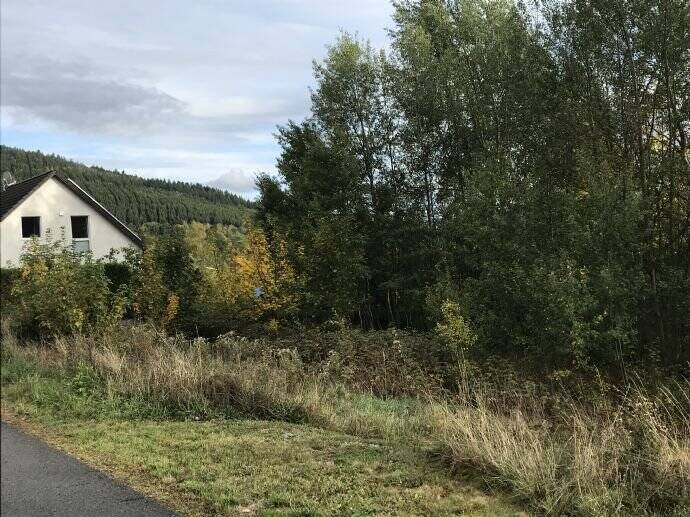 Feines kleines Grundstück mit Südausrichtung im Edertal in Bad Berleburg – Schwarzenau, 57319 Bad Berleburg