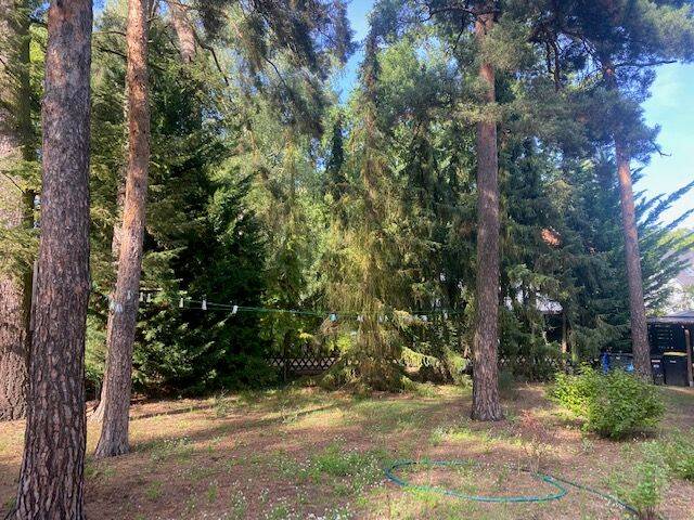 Grundstück mit großem Baufeld für eine Wohnfläche bis zu ca. 251 m² Wohnfläche, 14532 Kleinmachnow