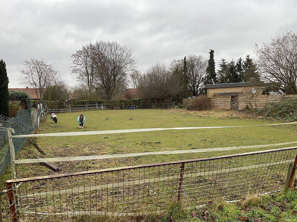 Baulücke für Einfamilienhaus, 32469 Petershagen