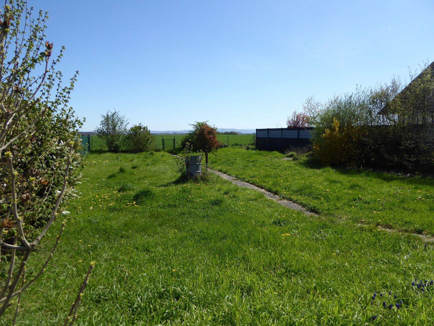 Schöner Bauplatz in Feldrandlage, 64560 Riedstadt