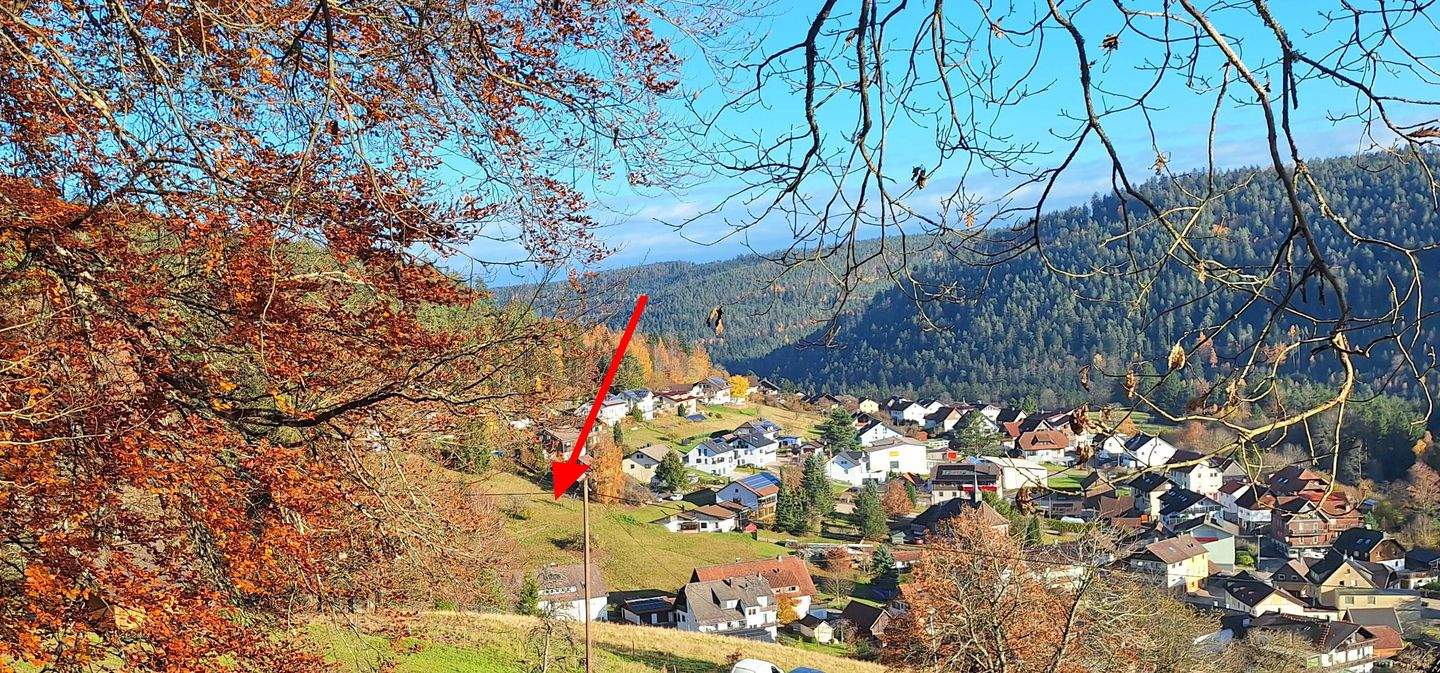 Auf der Sonnenseite des Lebens, 75323 Bad Wildbad