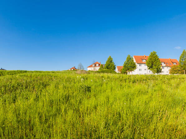 Großes Bauerwartungsland in Wald, 88639 Wald