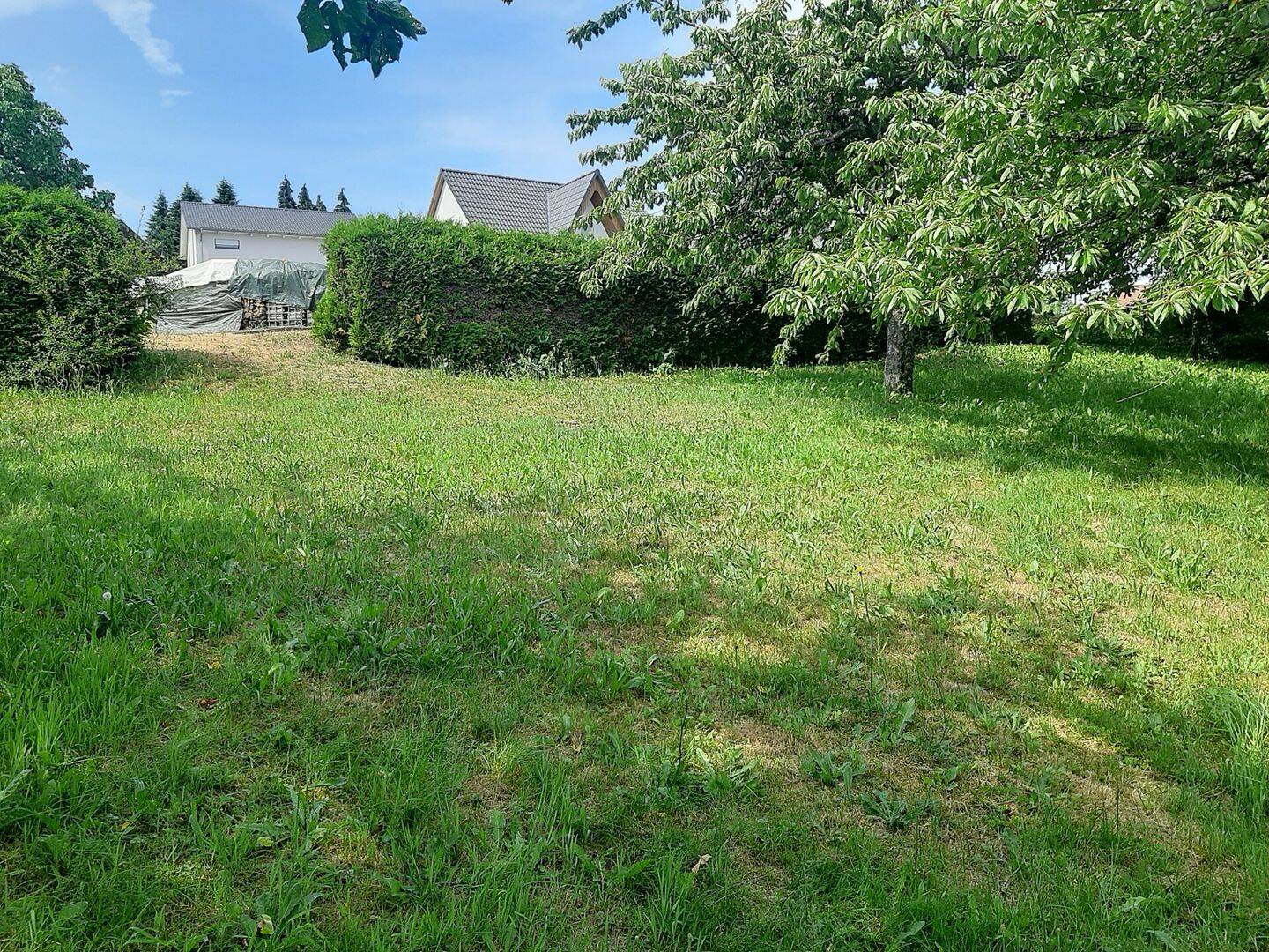 Außergewöhnliches Baugrundstück mit 1.277 m² Fläche, 69436 Schönbrunn