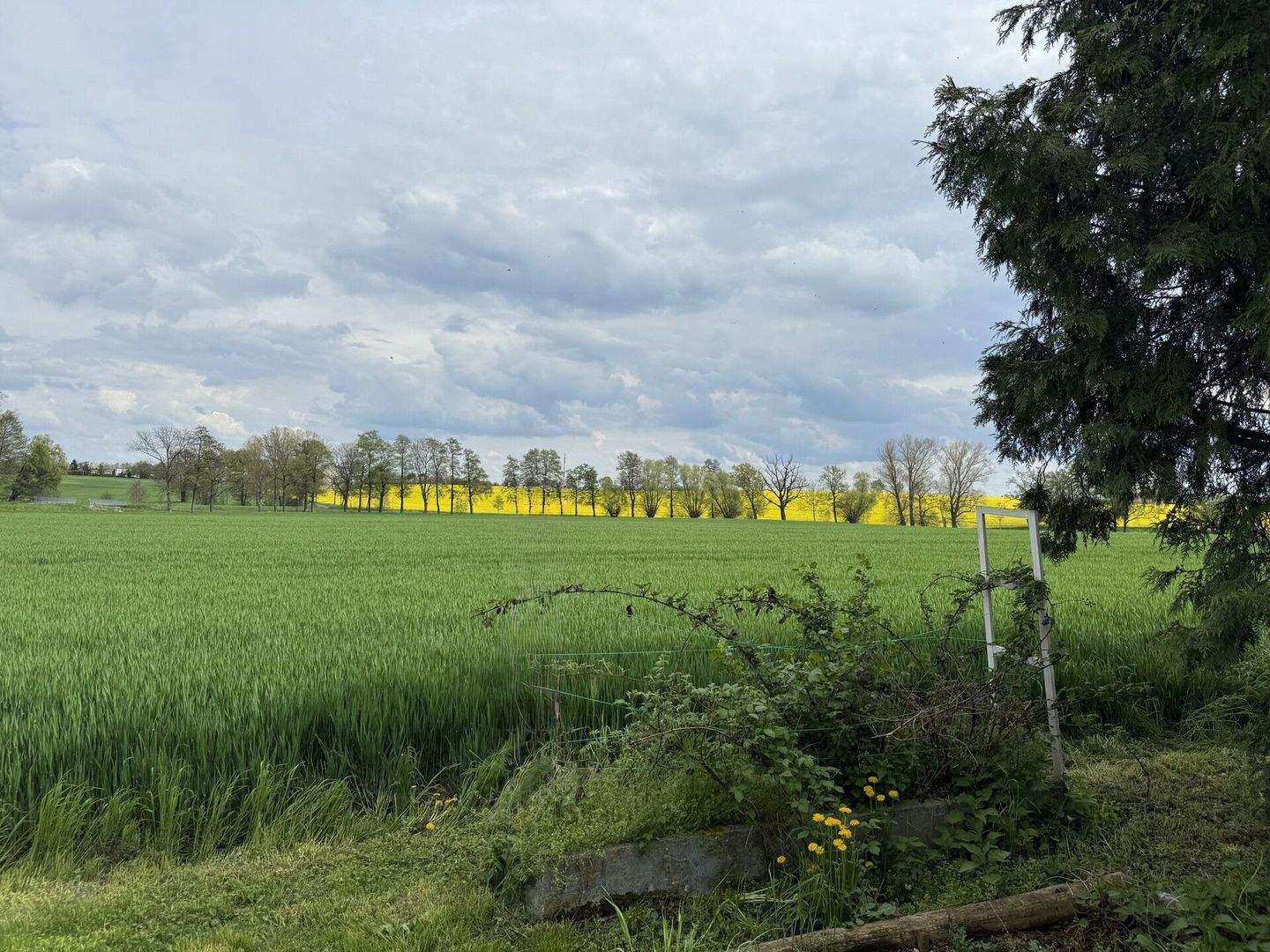 Baugrundstücke in Großdobritz – Zerlegungsentwurf an der Friedensstraße, 1689 Niederau