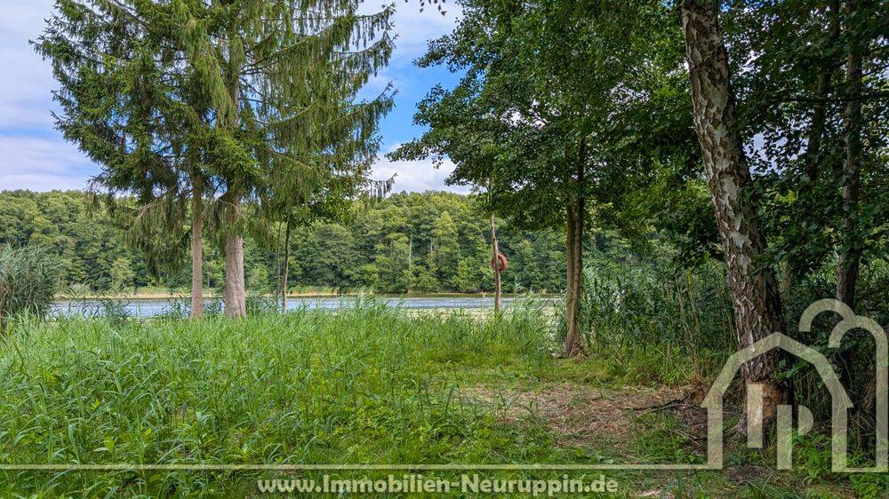 Am Tetzensee: bewaldetes Grundstück mit großer Lichtung und Zugang zum Wasser, 16827 Neuruppin