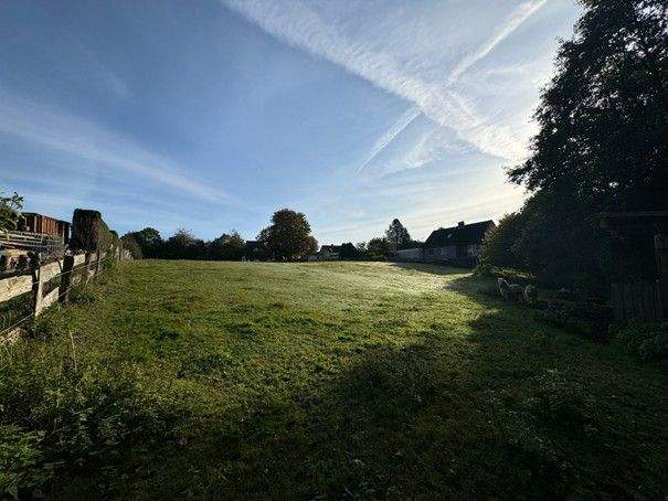 Projektgrundstück in Kasseedorf mit Altbestand, 23717 Kasseedorf