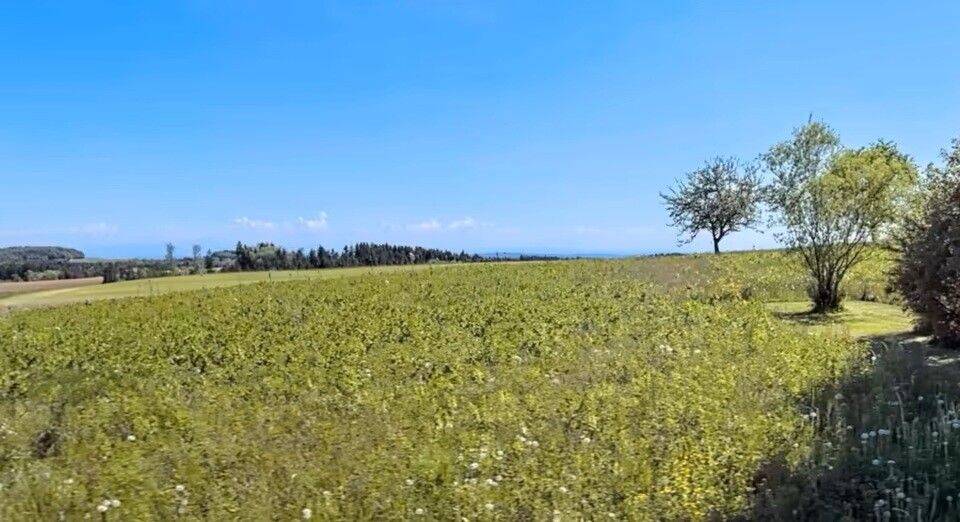 Exklusives Eckgrundstück mit 751 m² – sehr ruhige Wohnlage und unverbaubarer Alpenblick in Emmingen!, 78576 Emmingen-Liptingen