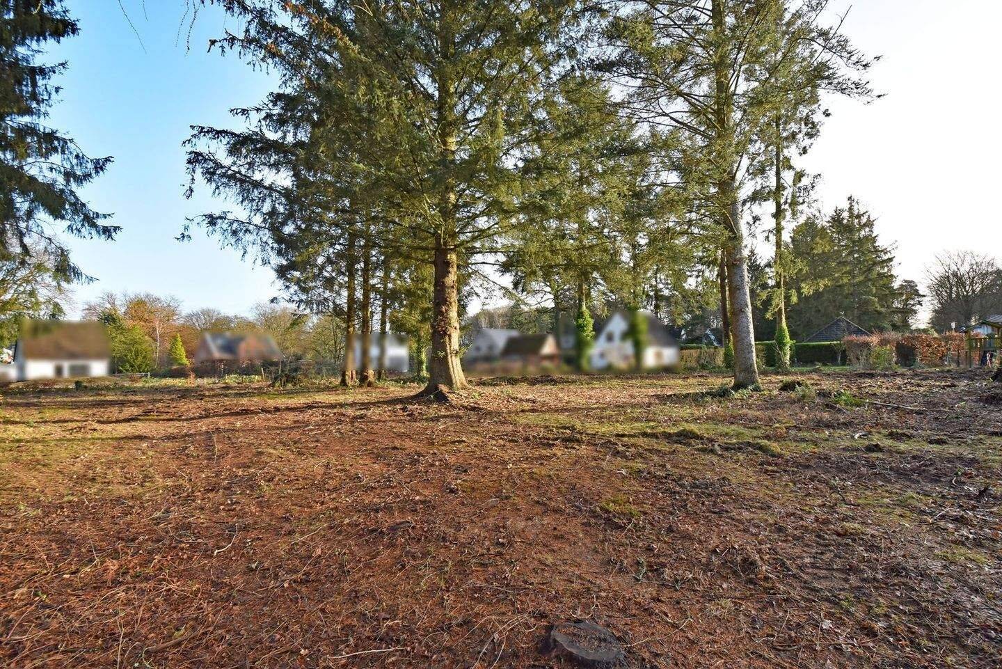 Unbebautes Sahnegrundstück: weitläufiges, ca. 2.287 m² großes Grundstück mit Südausrichtung, 21521 Aumühle