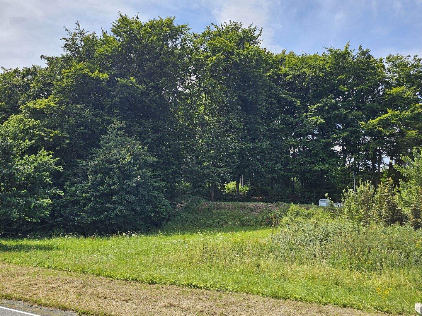 Idyllisches Baugrundstück in Stahlhofen, 56459 Stahlhofen am Wiesensee