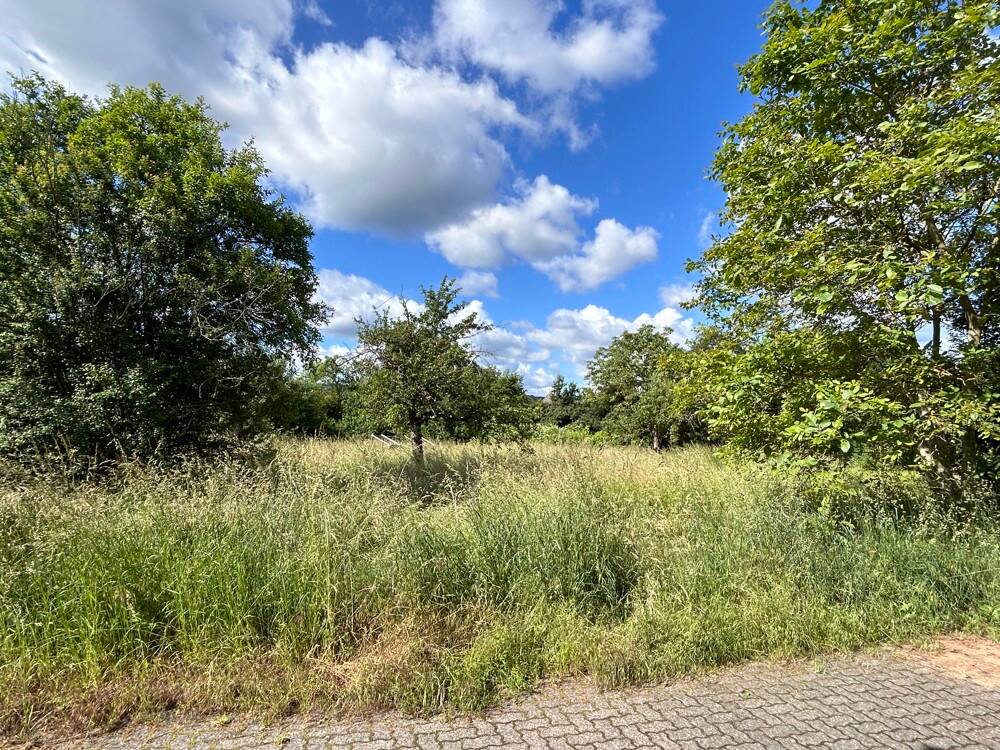 Glückstreffer … Ebenes Baugrundstück in begehrter Wohnlage!, 63906 Erlenbach a. Main