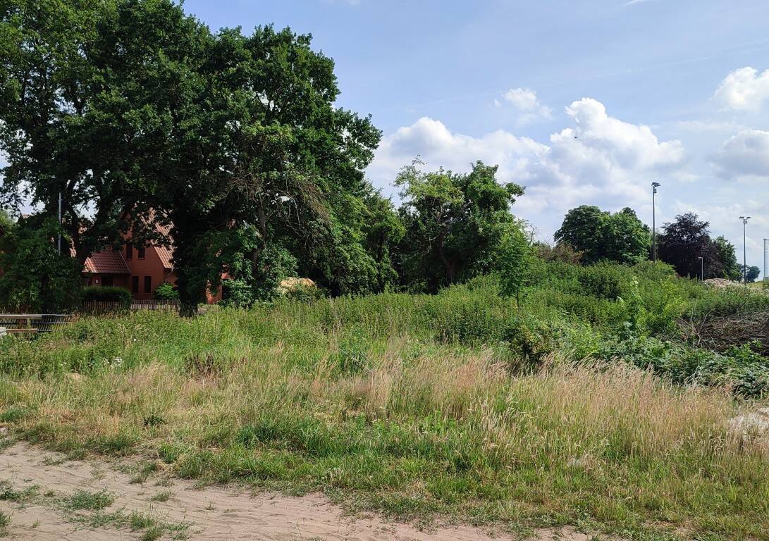 Baugrundstück für 2 DHH oder 3 EFH im schönen Steimbke/Wendenborstel bei Nienburg/Werser, 31634 Steimbke